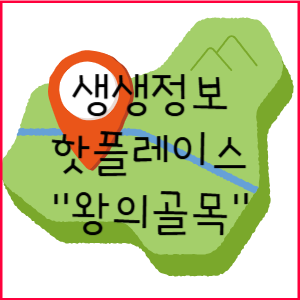 수원의 핫플레이스 왕의골목 탐방기 요즘 뜨는 명소 총정리