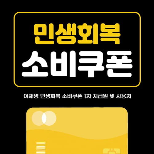 민생회복 소비쿠폰 1차 지급일 및 사용처