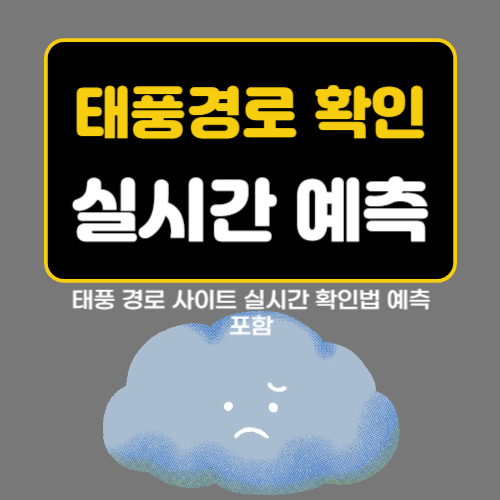 태풍 경로 사이트 실시간 확인법 예측 포함