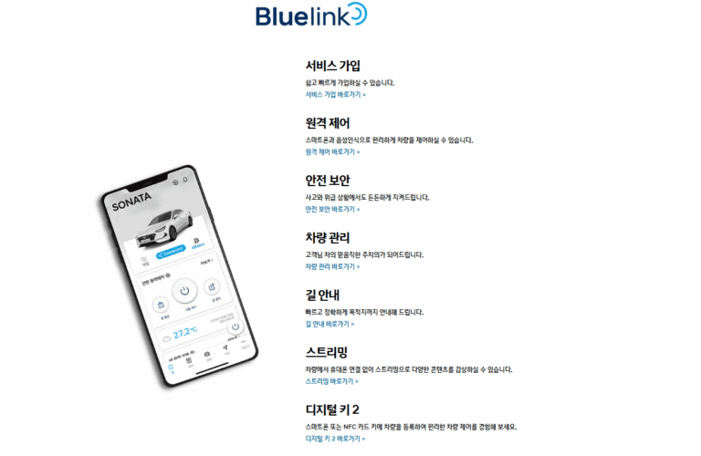 현대 블루링크 홈페이지 바로가기