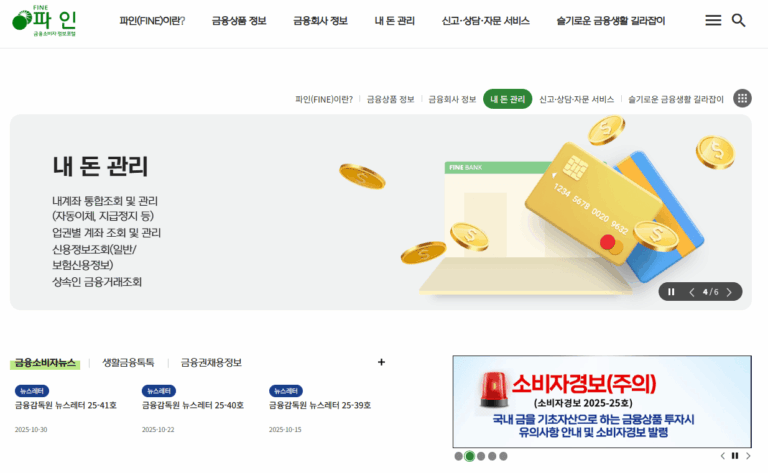 금융소비자포털 파인 바로가기 (fine.fss.or.kr)
