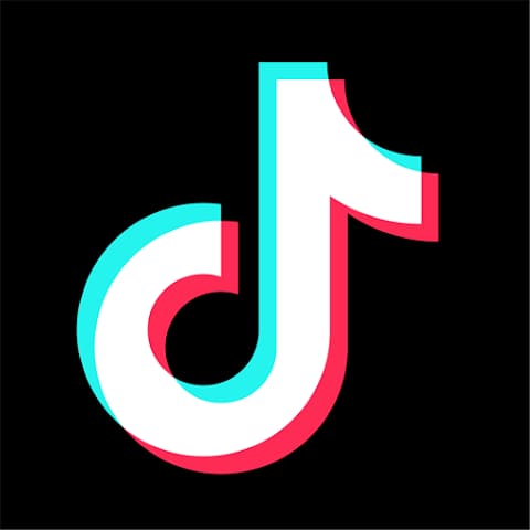 틱톡 홈페이지 바로가기 (https://www.tiktok.com)